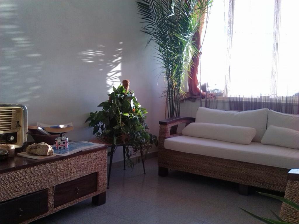 B&B Su Rizolu Sagama Dış mekan fotoğraf